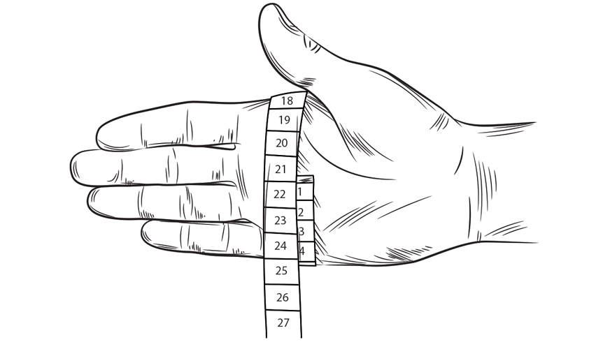 Palm measure image